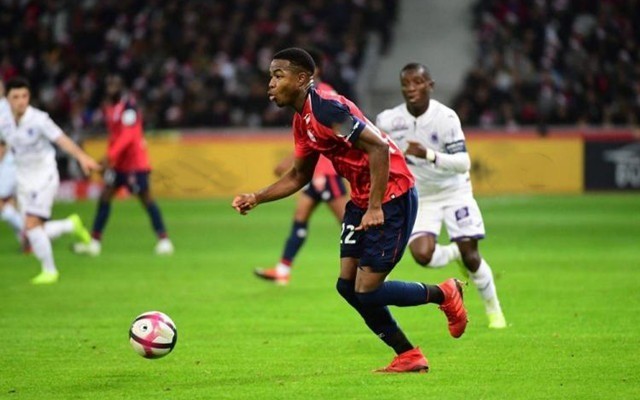 欲寻总冠军 欲寻总冠军